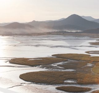 Getbol, Land of Coexistence Where Life Sprouts

Tidal flats and reed fields in Suncheon Bay near Suncheon

#korea #nrich #koreanheritage #kheritage #koreatreasure #korearesesarch #heritagekr #kculture

Copyright 2022. NRICH all rights reserved.