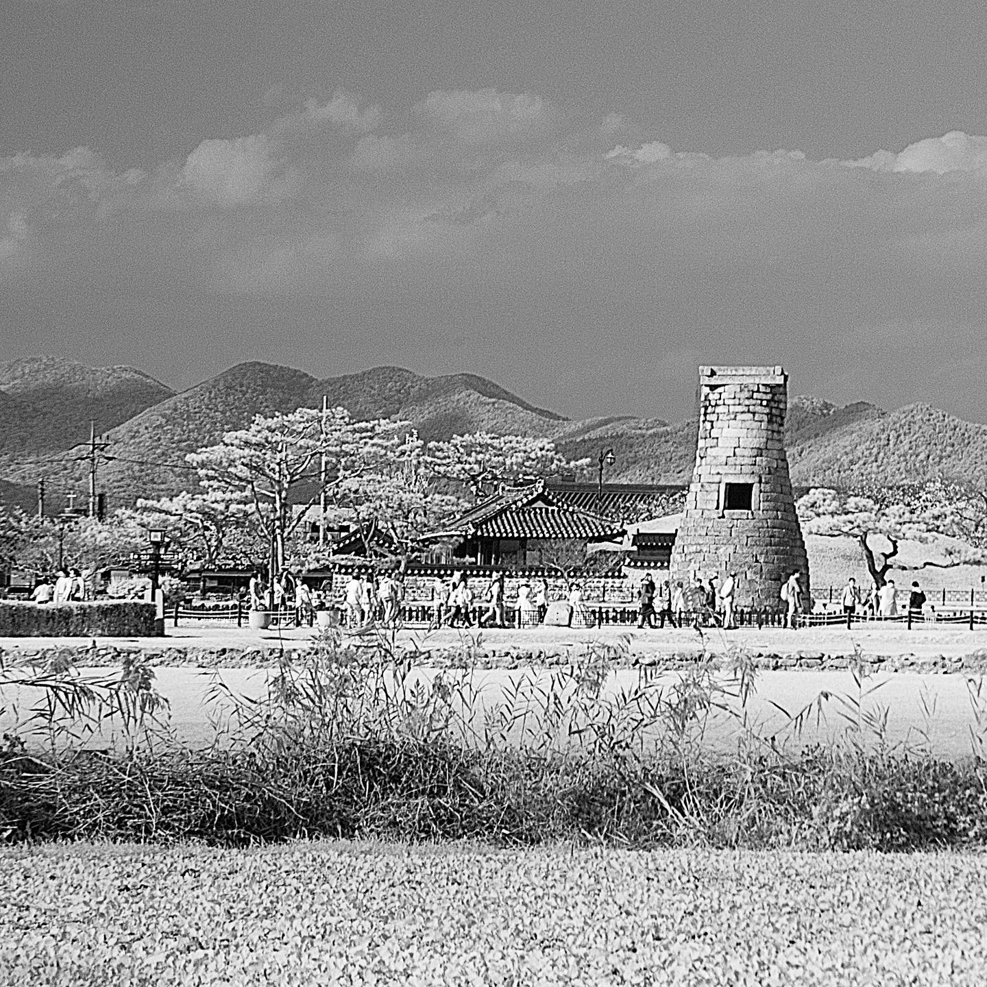 Shining new light on Silla’s moon palace 

Cheomseongdae observatory seen from Wolseong palace

#korea #nrich #koreanheritage #kheritage #koreatreasure #korearesesarch #heritagekr #kculture

Copyright 2022. NRICH all rights reserved.