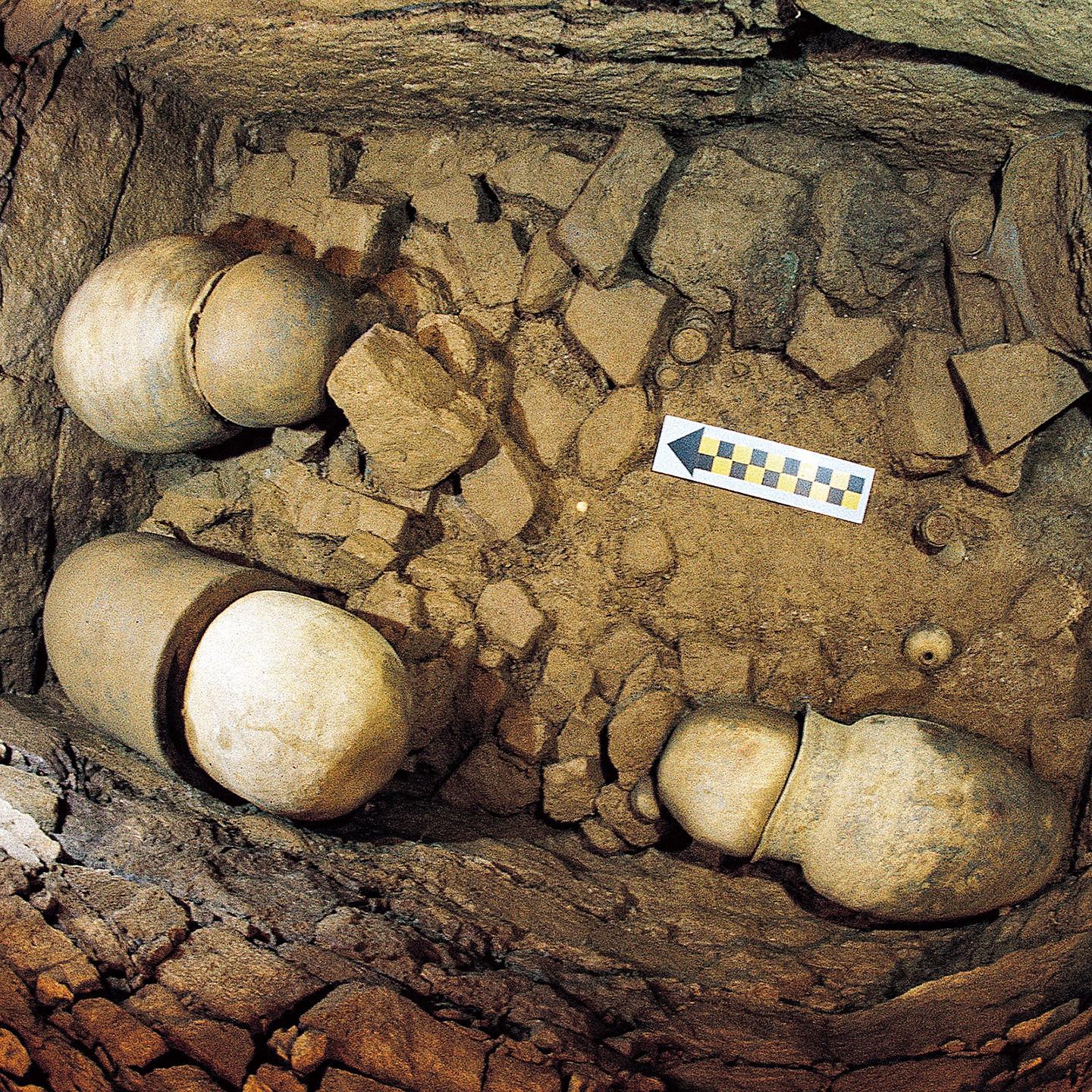Research project to restore the technology of ancient big jar coffins

96 stone chamber of Naju Bogam-ri tomb no.3

#korea #nrich #koreanheritage #kheritage #koreatreasure #korearesesarch #heritagekr #kculture

Copyright 2022. NRICH all rights reserved.